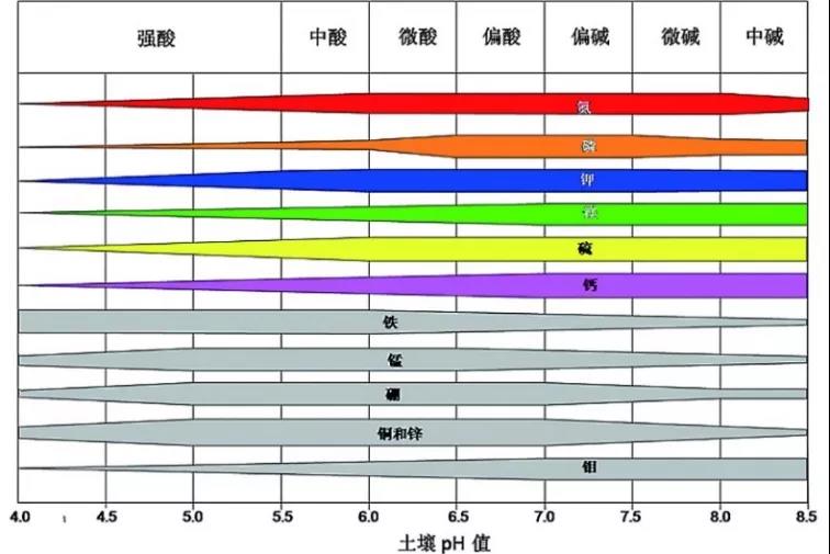 土壤PH速測(cè)儀，快速測(cè)PH